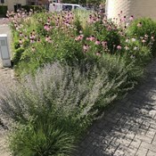 Showtuin Aartselaar overzicht zomer Showtuin rreac04 Publiek Aartselaar overzicht zomer